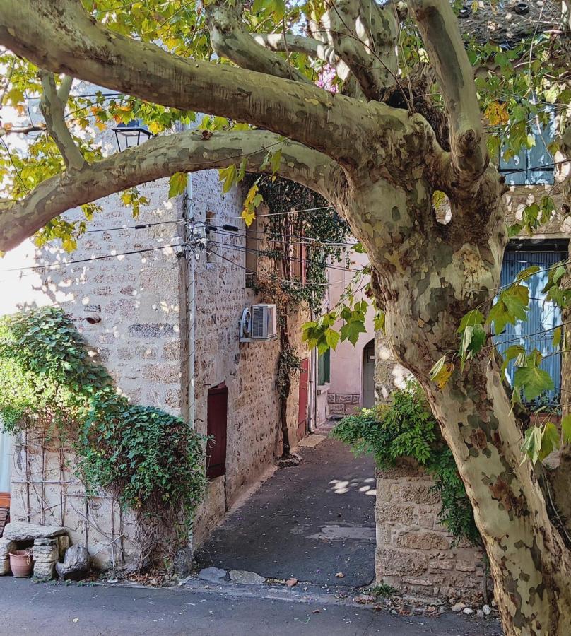 Villa Fontilha Usclas-l'Herault Exterior photo